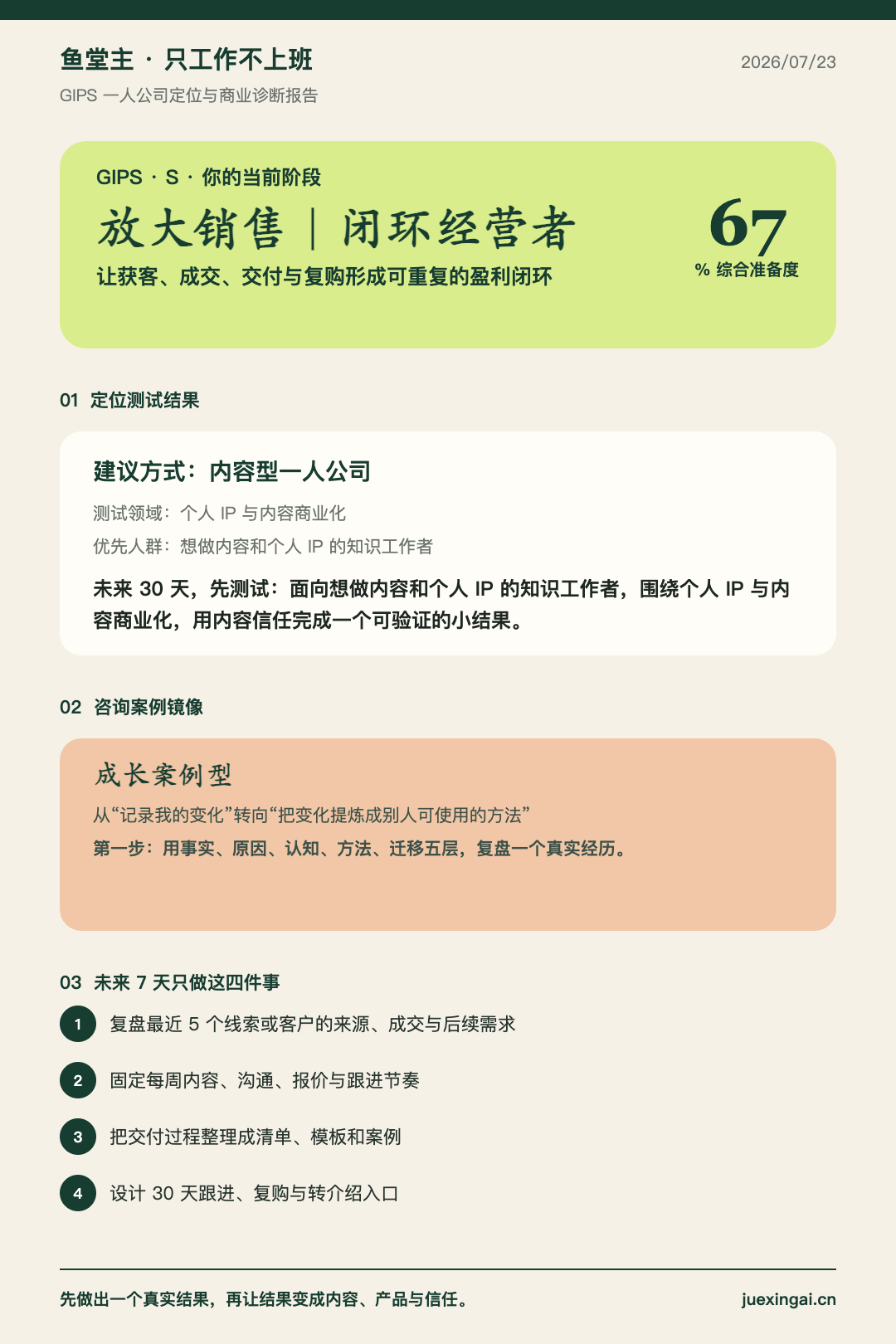 GIPS 一人公司定位与商业诊断报告示意图